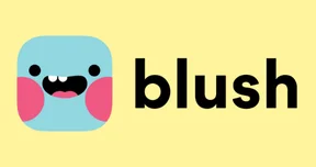 Blush Design interface screenshot